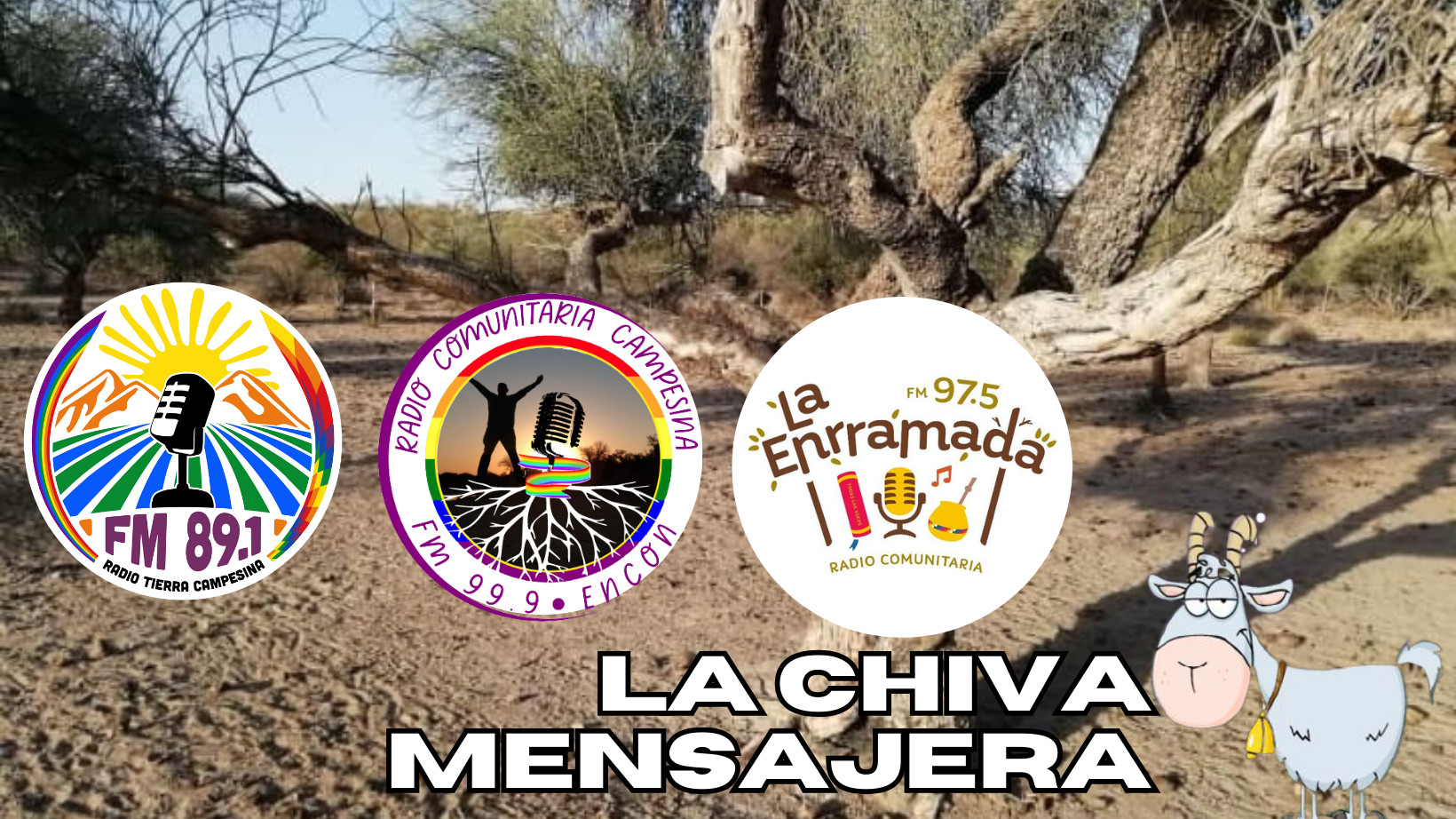 Logos de las tres radios que hacen La Chiva Mensajera: Radio Tierra Campesina, Radio Campesina y La Enramada