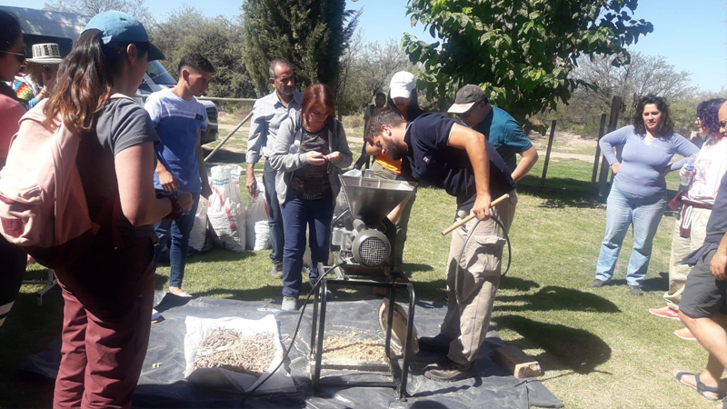 En la Reserva de Ñacuñán encontramos mujeres que viven, cuidan, aman  y trabajan con los arboles de algarrobo