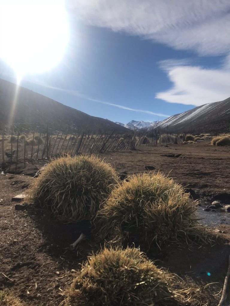 Tierras del Lof Pikun Mapu