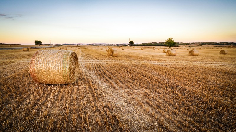 ¿Quiénes son los dueños de la tierra?