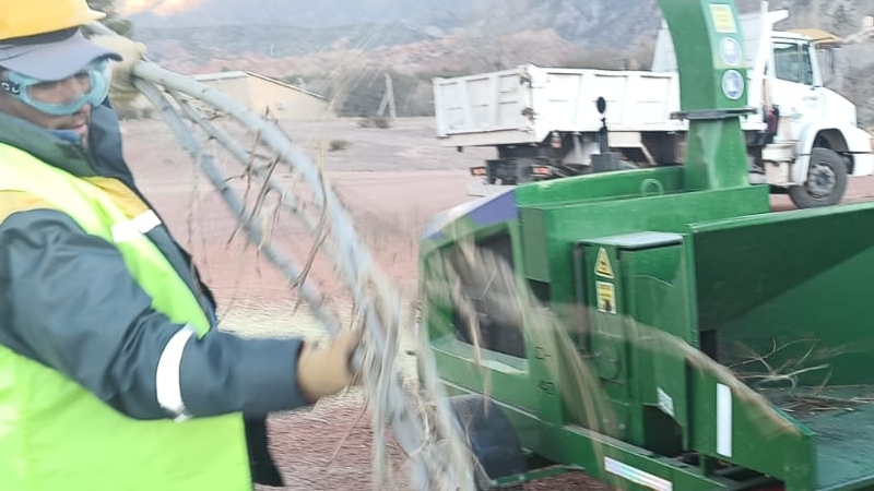 trabajador municipal tomando ramas de arboles para insertar en maquina chipeadora