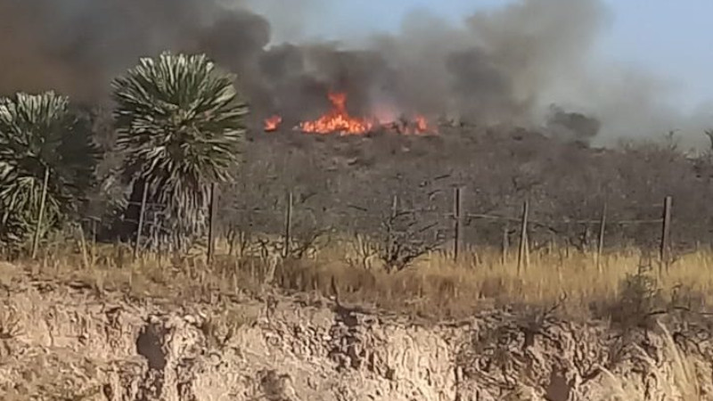 Incendios en Córdoba: El Estado es responsable